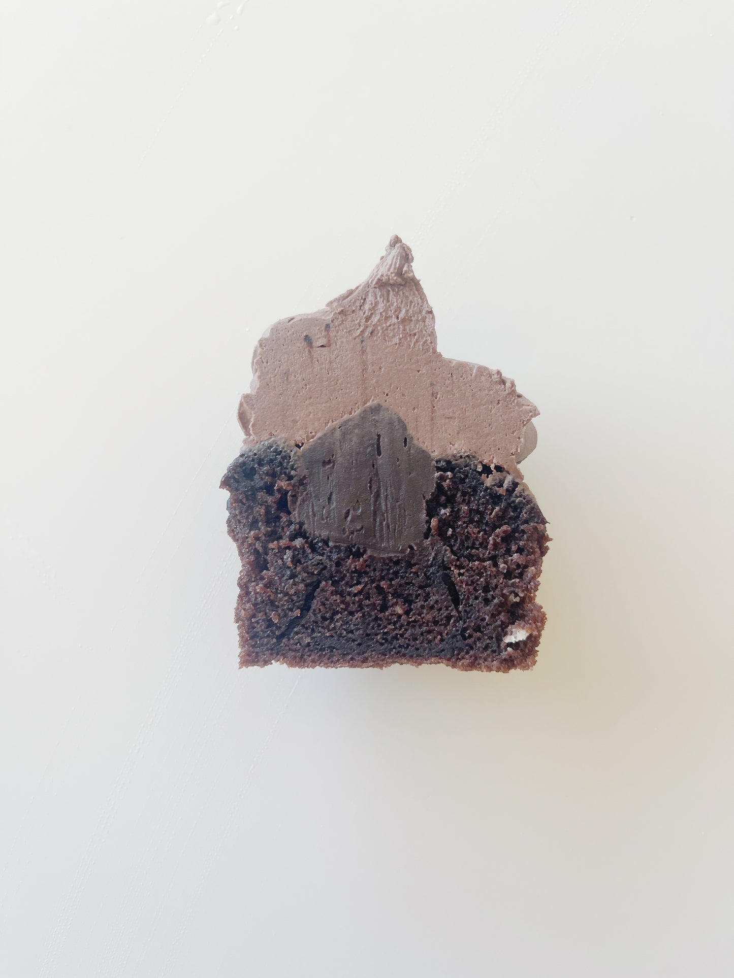 Chocolate Ganache Cupcake