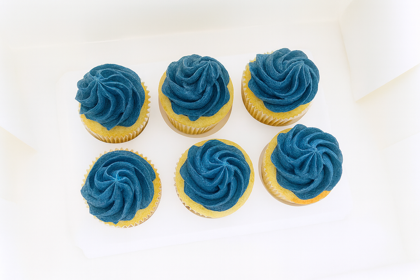 Auckland’s favourite cupcakes from Sweets by Becca – custom-made, freshly baked, and perfect for any celebration. Fast, local delivery available