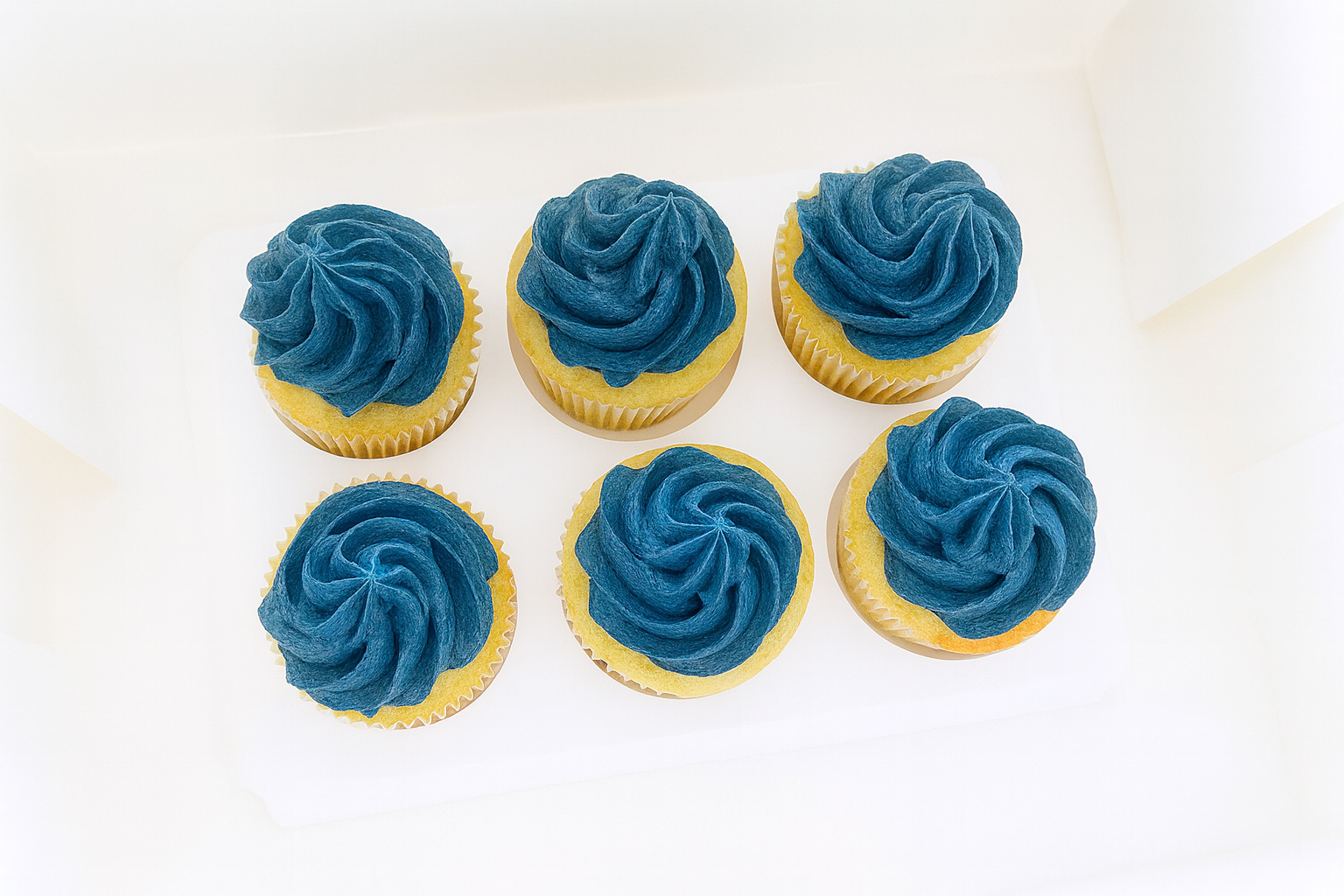 Auckland’s favourite cupcakes from Sweets by Becca – custom-made, freshly baked, and perfect for any celebration. Fast, local delivery available